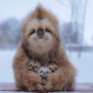 Meet your Posher, Janette